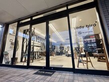 Lady bird【レディーバード】