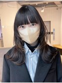 フェイスレイヤー_チェリーブラウンフェミニンロング_ba433931