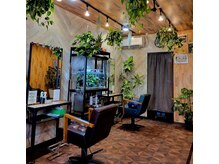 ノトア(notoa)の雰囲気（小さいお店ですが観葉植物と熱帯魚水槽に囲まれた落ち着ける空間）