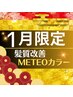 ★1月限定★髪質改善☆【酸熱融合カラー】メテオカラー+TR ￥8900