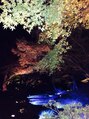 カーロ 白楽店(Caro) 好きな日本庭園、六義園の紅葉ライトアップ！