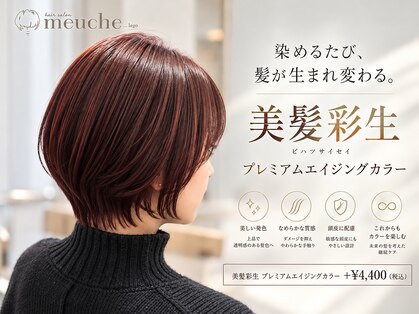 ミューシェレゴ(meauche...lego)の写真