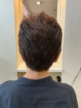 サロンちゃん ショート