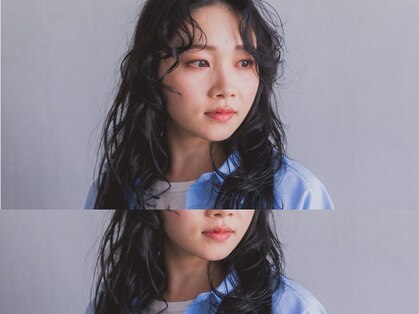 レックス コル(REX COR)の写真