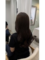 シェルベアー(Shell Bear) 秋カラー〈銀座〉〈東銀座〉