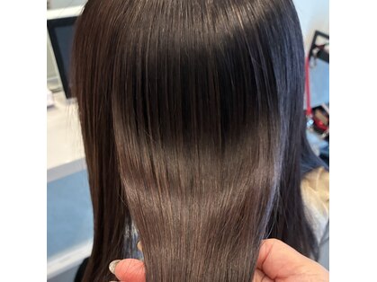 ノエル(Noel)の写真