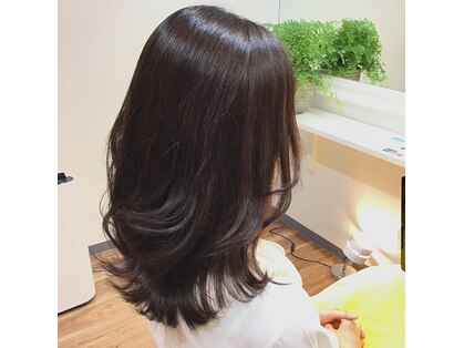 ソルーナ(SOLUNA)の写真