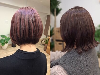 ルップル(RUPPLE)の写真