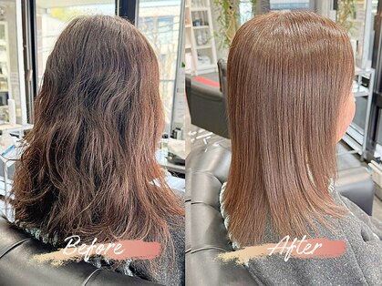 エミュ(emu)の写真