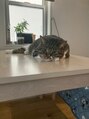 リッチアンドアンジー(RICCI&ANGIE)&nbsp;我が家のにゃんこです。猫好きの方、お話ししましょう♪