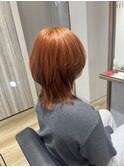 ウルフダブルカラー