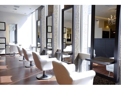 ヴィサージュ ギンザ VISAGE GINZAの写真