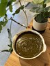 植物で育む健康美沖縄産ヘナ+オーガニックアロマ ￥13200