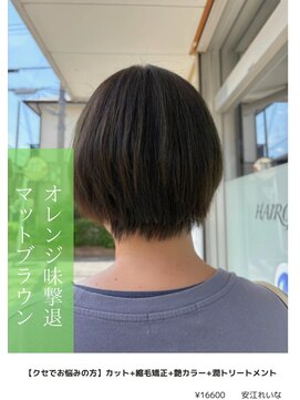 アイリス(IRIS) オレンジ味撃退マットブラウン