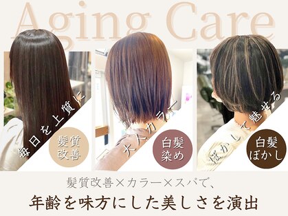 ビラデルソルルート(√r-t)の写真