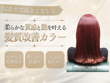 プリモア サロン ハナレ 綾瀬(primoA salon HANARE)の雰囲気(カラーのダメージが気になる方必見!染めるたび艶髪に!)