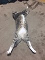 REM 三鷹【12/1NEWOPEN】 実家の猫さんです