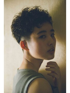 ザップ(ZAP) カーリートップ