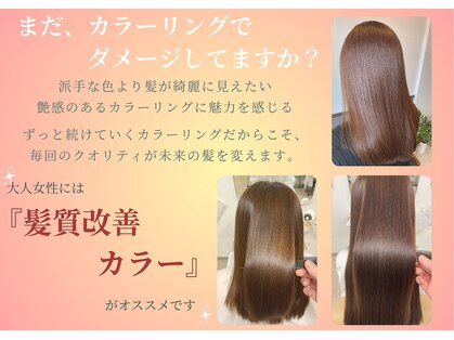 トイロ(TOIRO)の写真