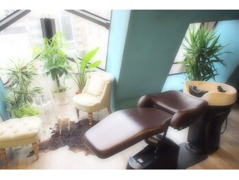 Cieluma 【チェルマ】