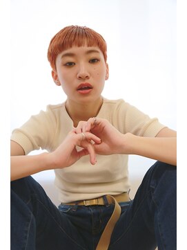 プレディカ(pledica) ai3071