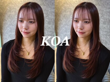 コア(Koa)の写真