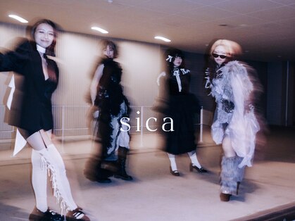 シカ(sica)の写真