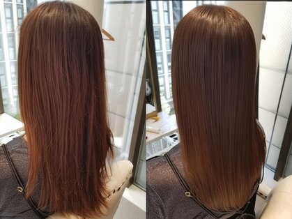 ルピナ(Lupina)の写真