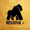 ベゴニアプラス(BEGONIA+)のお店ロゴ