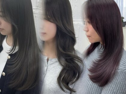 ベガ(vega)の写真