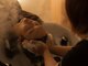 ヘッドスパ メグム(MEGUMU)の写真/大人世代こそ見直したい頭皮環境。素材美を大切にしたヘッドスパで髪質改善をサポート！美髪を叶えましょう