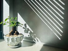 落ち着いた空間で、髪のお悩みを解消…"癒しのサロンタイム"