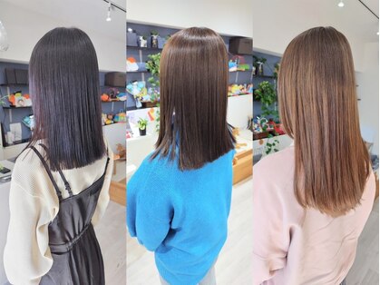 アオイ(Aoi)の写真