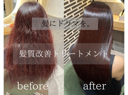 レザボアハイブ(reservoir Haibe)の写真