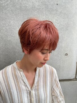 ドッグマニアピンチアオヤマ(DOGMANIA PiNCH AOYAMA) ピーチオレンジ×マッシュショート