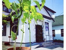 ミヤイ(MIYAI)の雰囲気（白い外観です！近くには違う床屋さんがあるのでお気をつけて。）