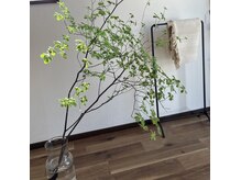 シーク(Ceek)の雰囲気(グリーン溢れる温かみのある空間)