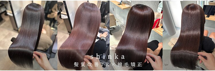 シンカ(shinka)のサロンヘッダー