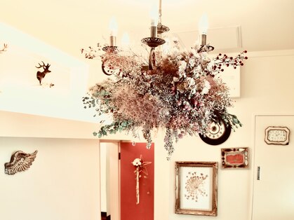 ヘア ミーツ ドレス プレローマ(HAIR meets dress pleroma)の写真