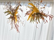 dry flower