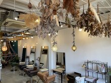 アルバムヘアー (Album hair)の雰囲気（白を基調とした店内に緑とアンティーク家具が並んでいます♪）