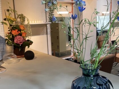 スゴス(sugosu)の写真