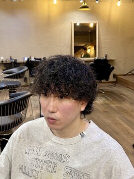 ミオ ベガ(Mio'' VEGA) 【個性派】波巻きプードル×ウルフカット