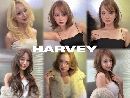 ハーヴィー 大宮店(HARVEY)の写真
