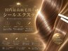 【国内最高級人毛100%】バージンレミーシールエクステ40本