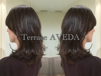 テラス アヴェダ 大丸心斎橋店(Terrace AVEDA)の写真/【心斎橋/髪質改善】あなたの骨格/毛質/クセに合わせた質感ドライカットで悩みを魅力に変える技術！