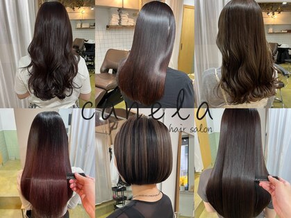 カネラ(canela)の写真