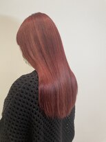 フォルテ 島田店 カシスレッド