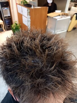 ラ モナ スタイリッシュショート