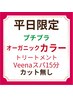 【カラーのみ/プチプラ】オーガニックカラー+Tr+Veenaスパ15分 ※ロング別